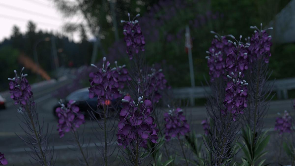 driveclub 201504190311xsvh