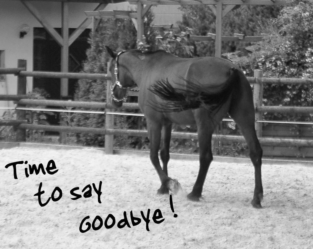 time-to-say-goodbye-6105979f-6b06-4a47-b