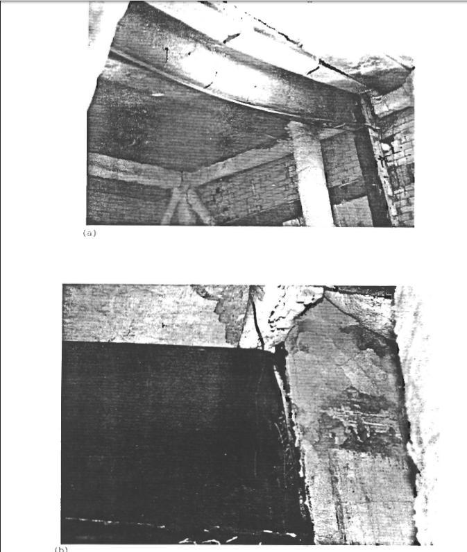 mXYlti picturetraeger