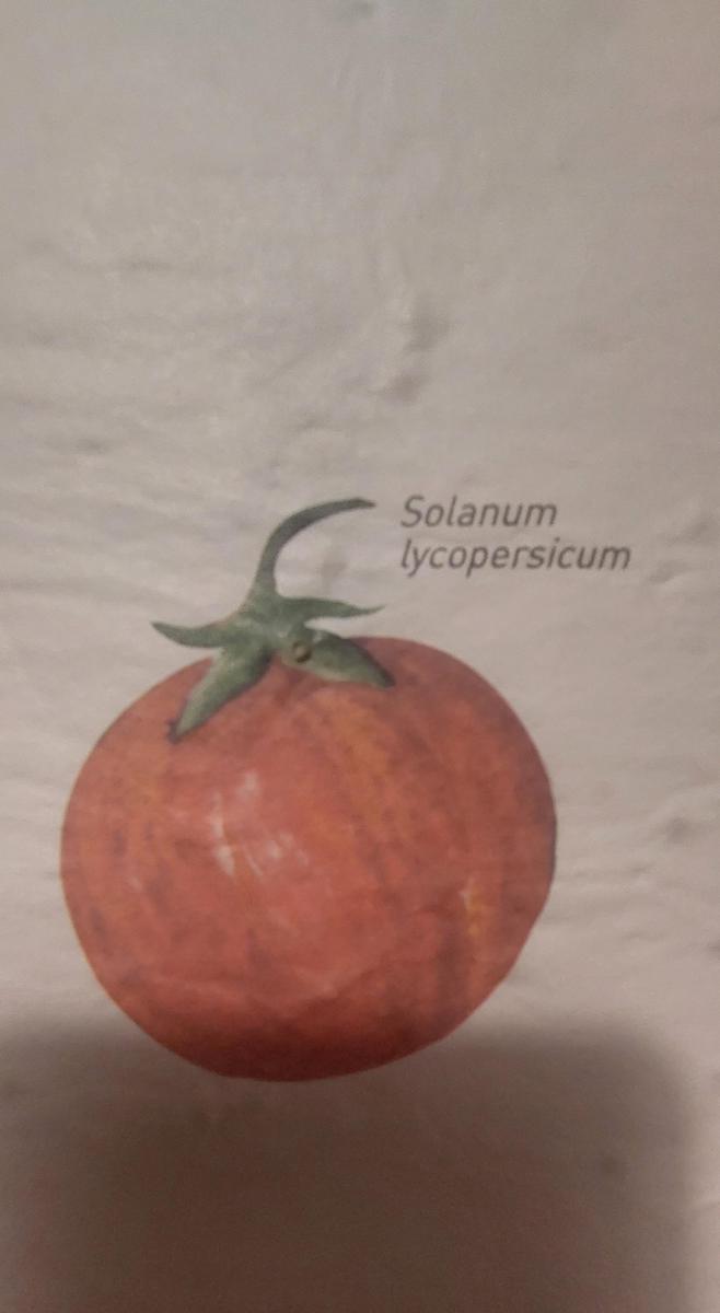 20240302 210724