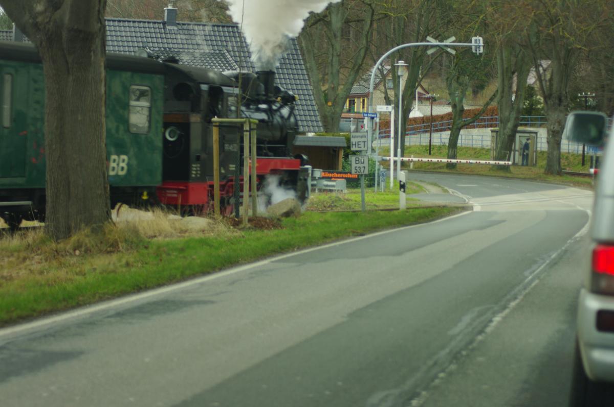 IMGP8590