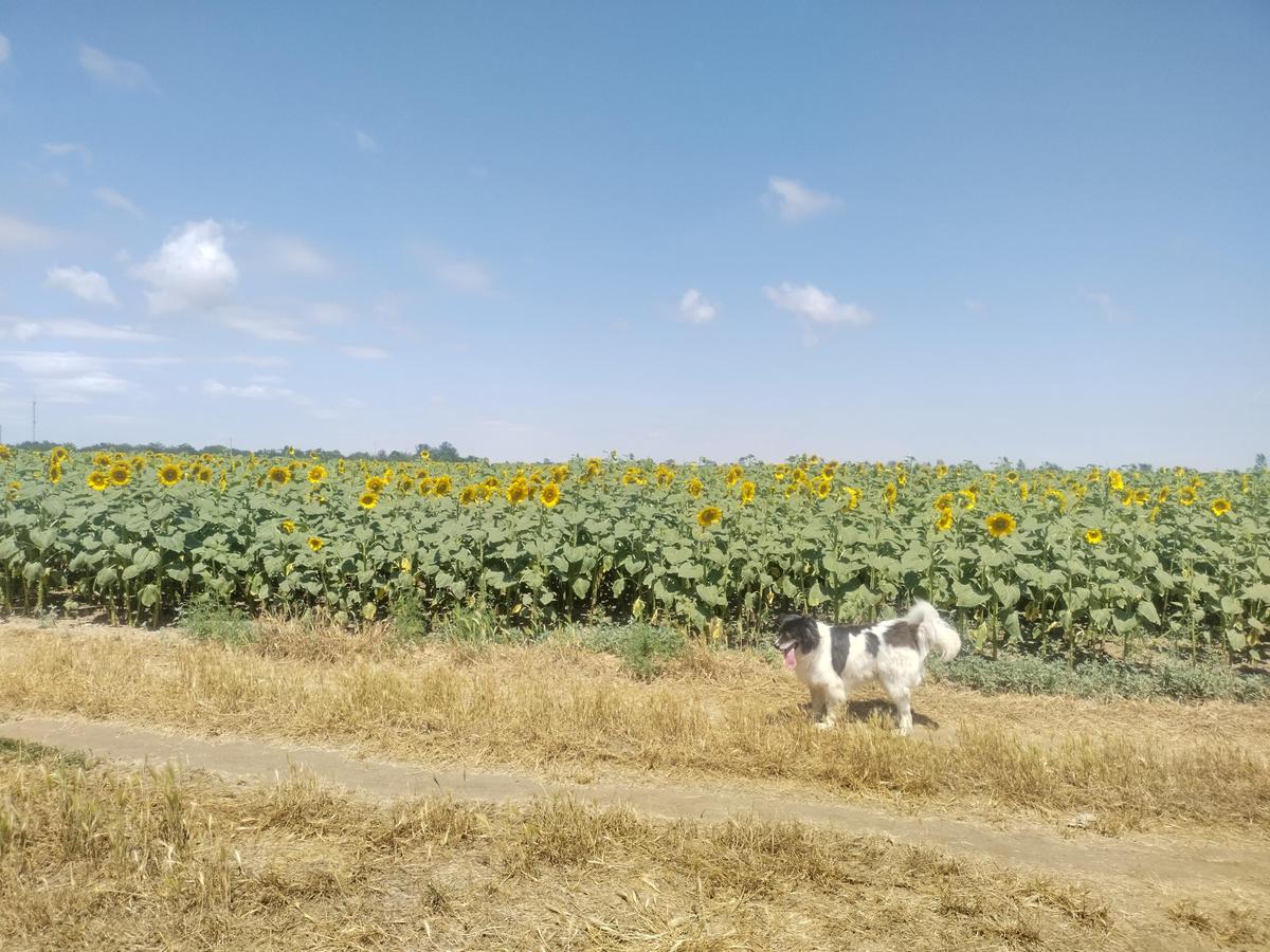 IMG 20240625 114437 HDR