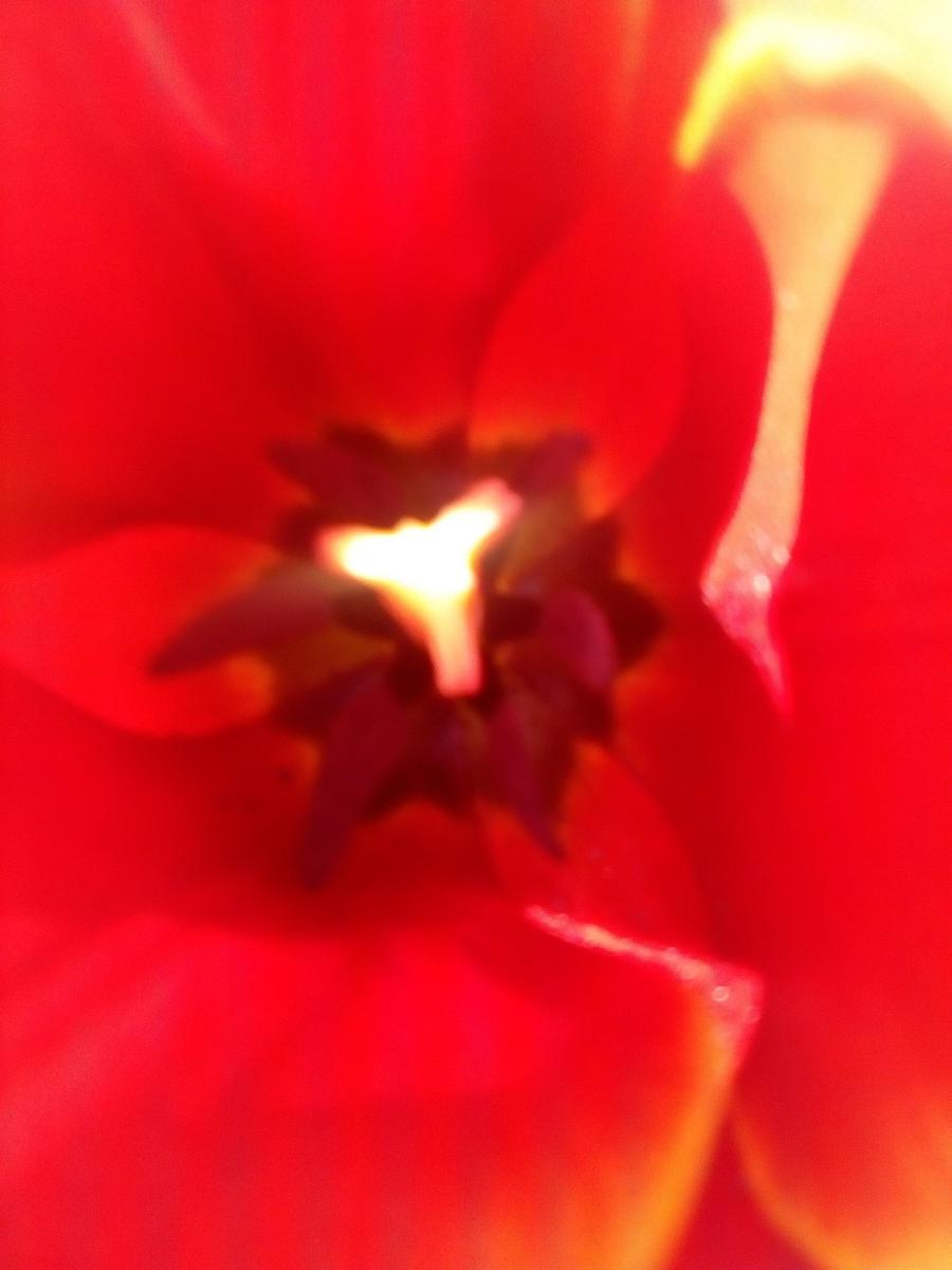 xwlohfbvobd2 IMG 20200410 173047