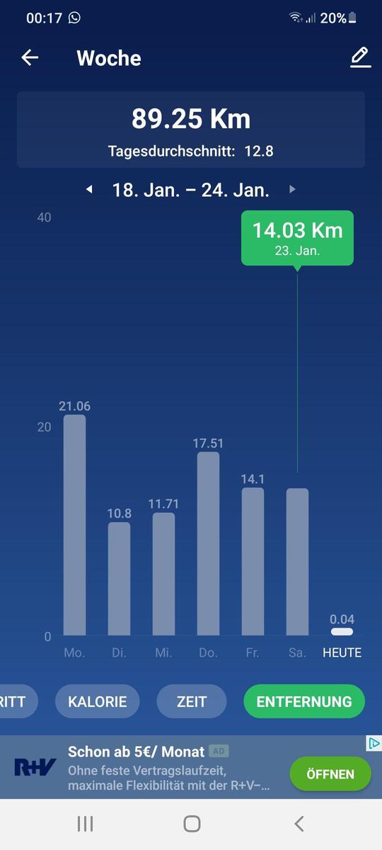 Screenshot 20210124-001715 Pedometer Ste