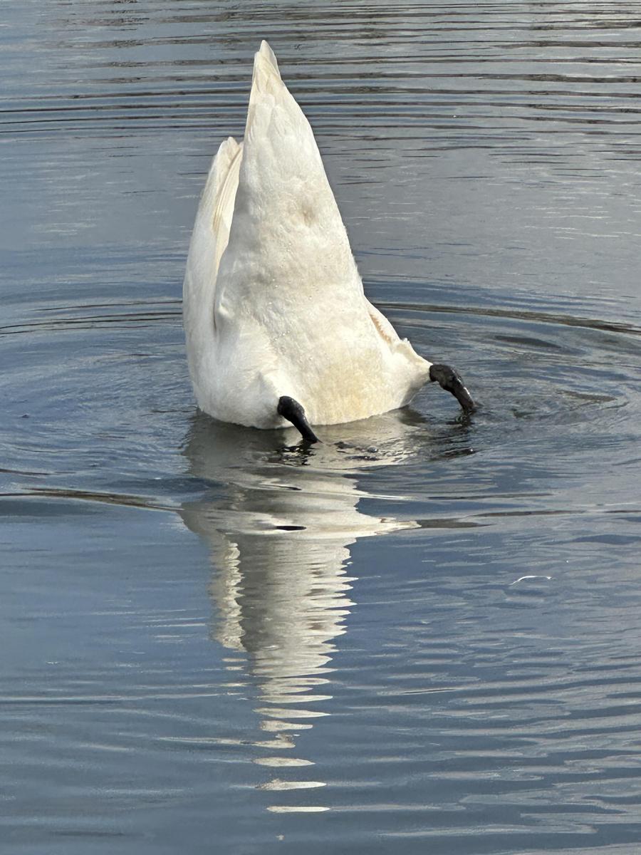 IMG 7628