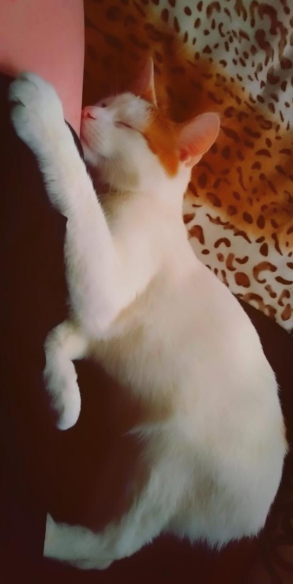CYMERA 20220402 181352