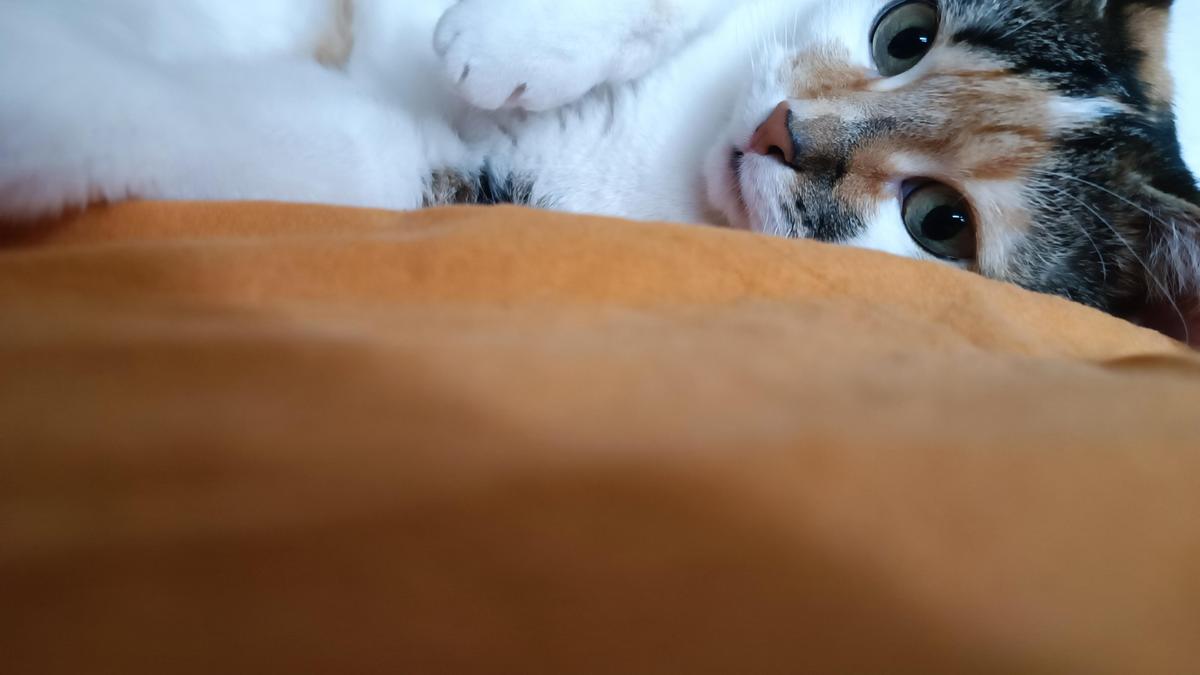 IMG 20220317 111219