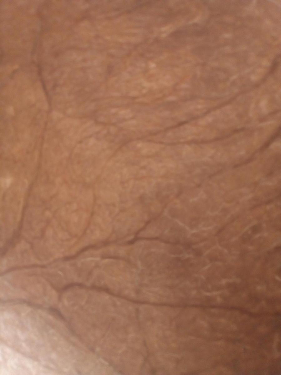 IMG 20200228 105702