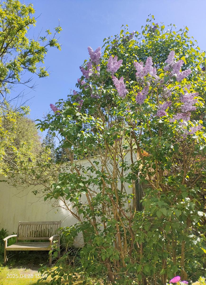 IMG 20250428 140005