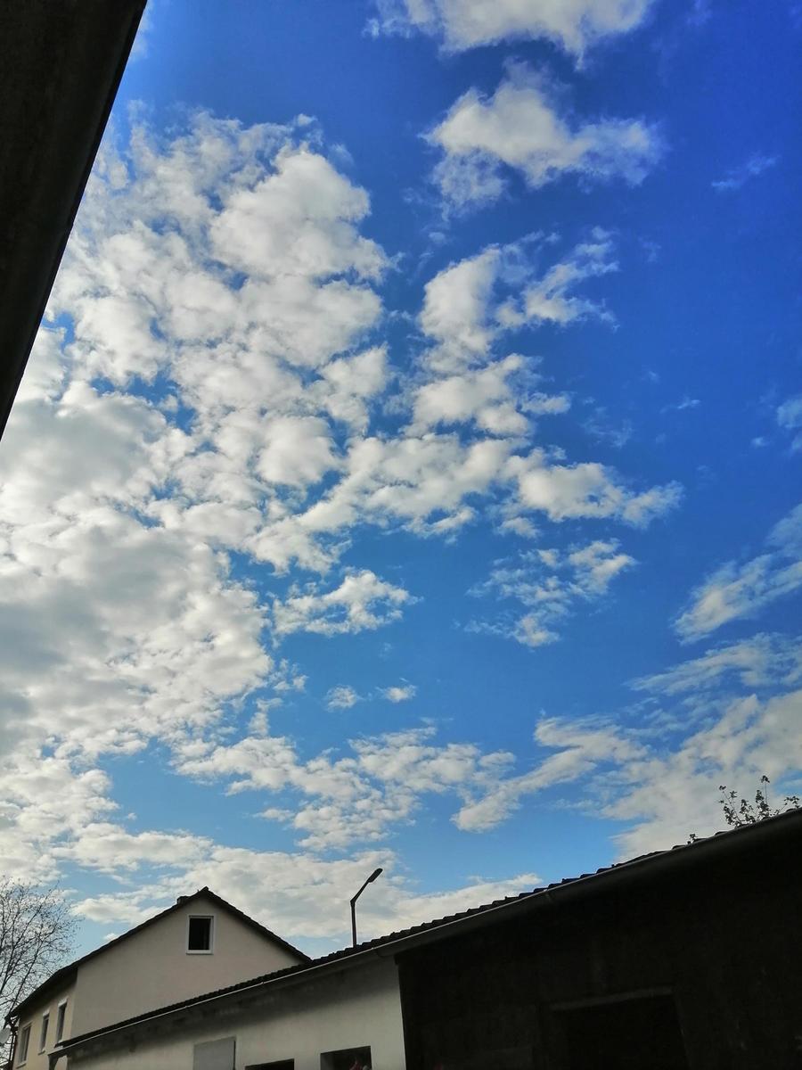 IMG 20200429 175356