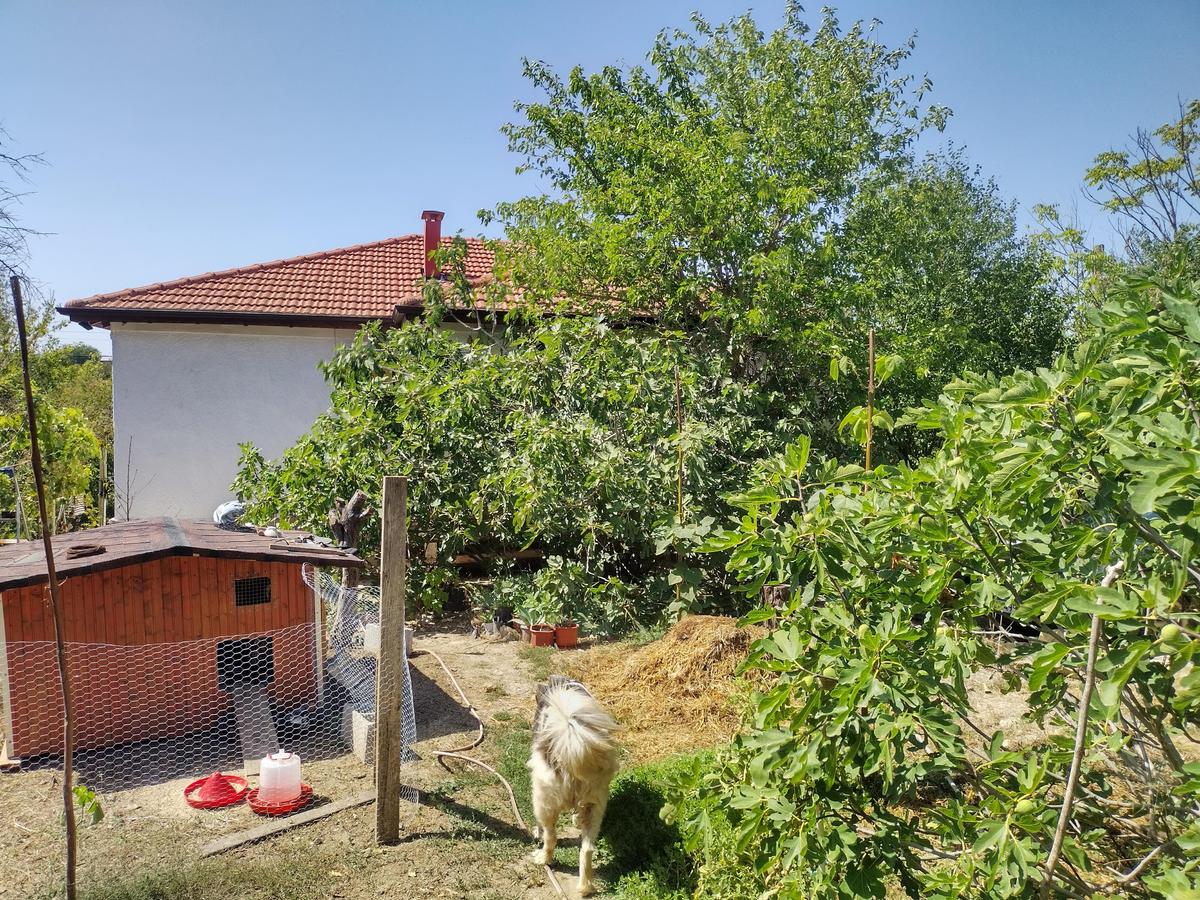 IMG 20230909 124706 HDR