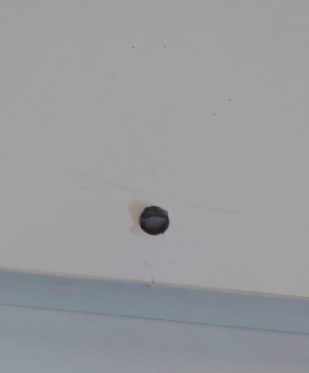 DSC 42502