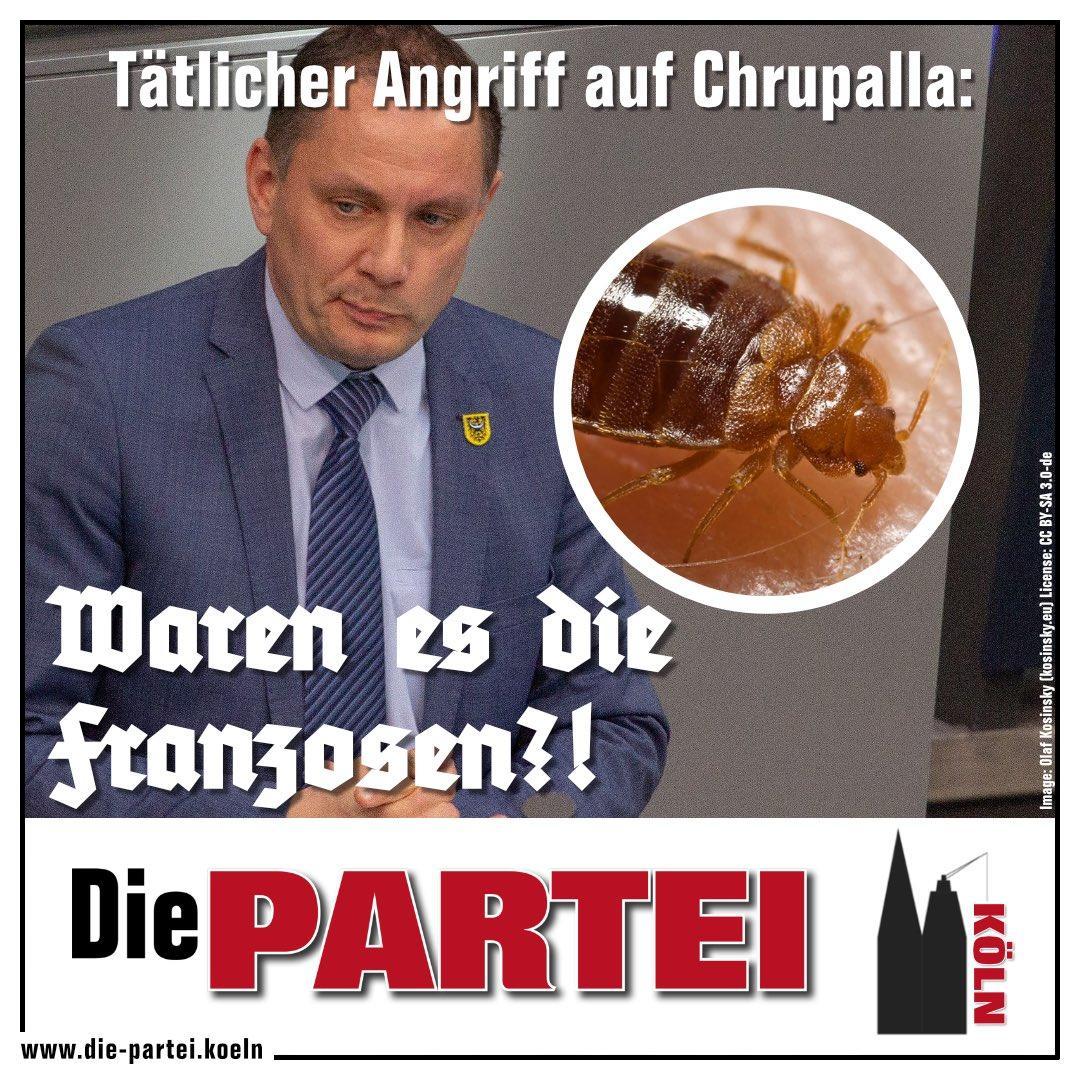 Die Partei Chrupalla - Copy