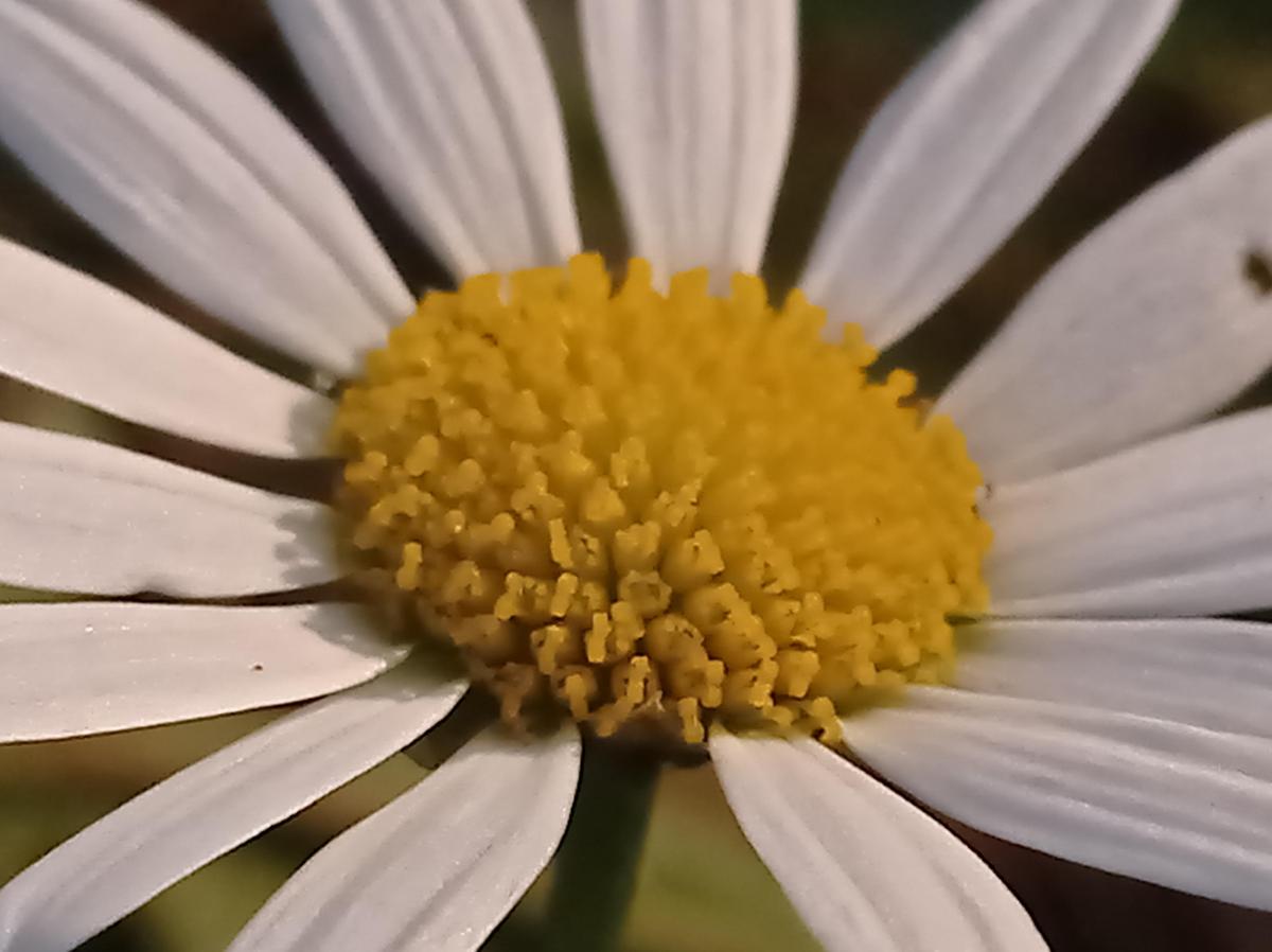 IMG 20230726 190856