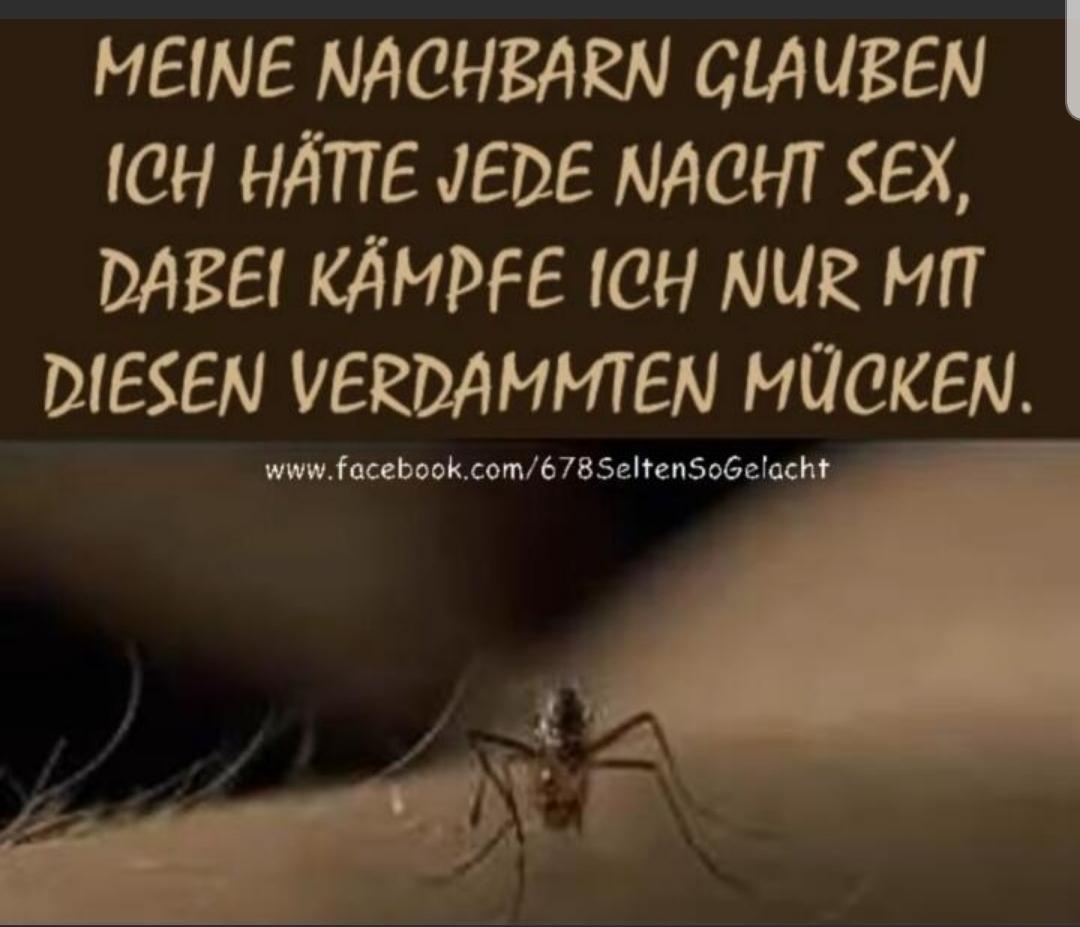 Screenshot 20220628-012331 MeWe