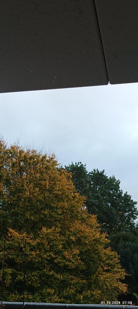 IMG 20241001 075827