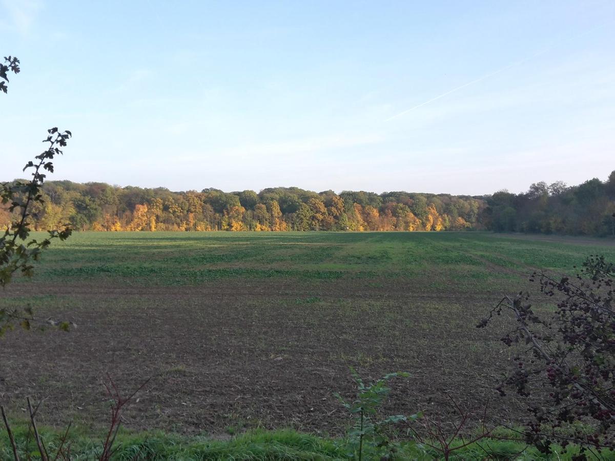 20151026 153045 RichtoneHDR