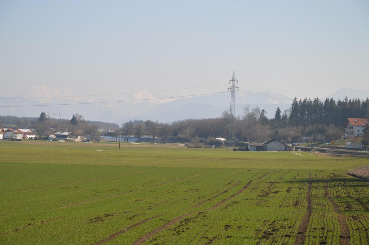DSC 0024