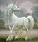 Profil von blue24