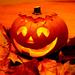 Profil von Pumpkins