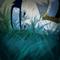 Profil von annaFreed