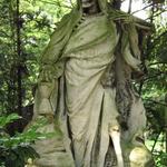 Profil von kafubel
