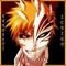 Profil von Bleach