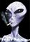 Profil von littlegreyalien