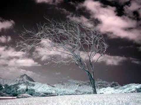 Youtube: Anathema - Lost control