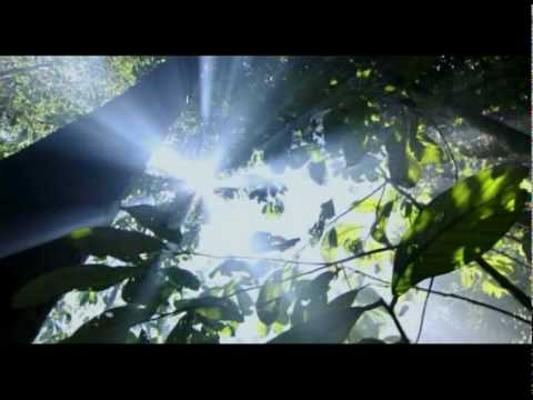 Youtube: Michael Jackson - 'Planet Earth'