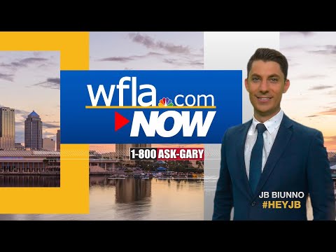 Youtube: Unanswered Questions: Next Steps in FBI's Gabby Petito, Brian Laundrie Investigation #HeyJB #WFLANow
