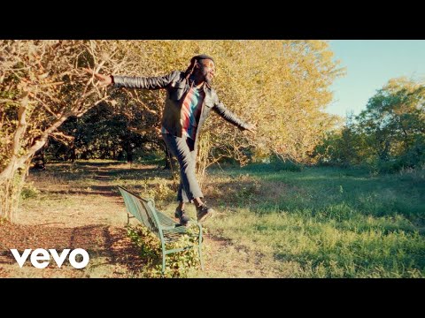Youtube: Black Pumas - Ice Cream (Pay Phone) (Official Video)