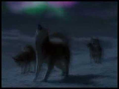 Youtube: Eight below  - Rammstein-Ohne dich