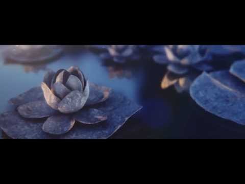 Youtube: Dream Koala - Odyssey