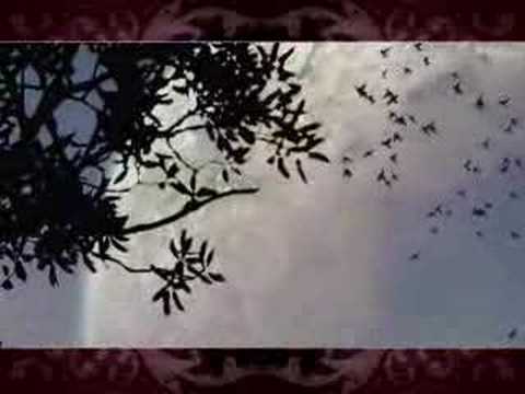 Youtube: Sopor Aeternus - Im Garten Des Nichts