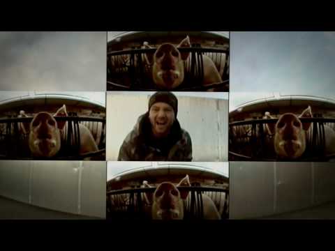 Youtube: Sie is a Sau   Jack Untawega feat. 500 aka Fick Rick