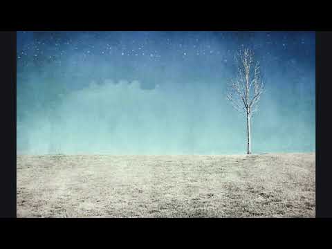 Youtube: Prezident - Der Erste Mensch (Emancipator Mashup)