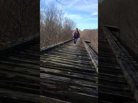 Youtube: Delphi Bridge Guy 43 Second Video Released 👀 #Delphi