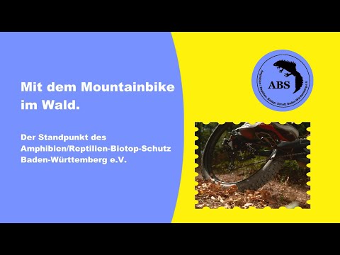 Youtube: MTB Trails 6