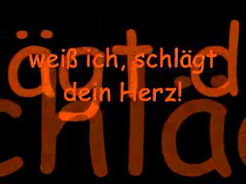 Youtube: Ärzte - Schrei nach Liebe - Lyrics