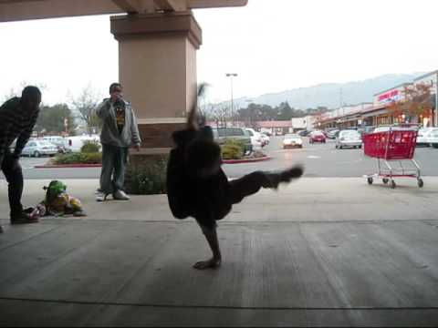 Youtube: New Years Battle 2008 - Pt.2