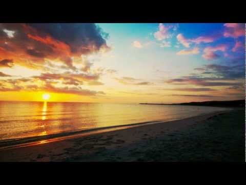 Youtube: T.E.E.D - Garden (Calibre Remix) at Sun and Bass 2011
