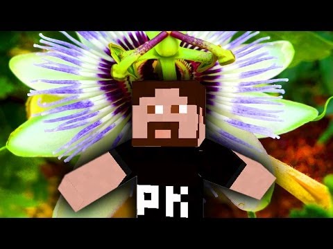 Youtube: Gronkh-Song - Eier im Gepäck