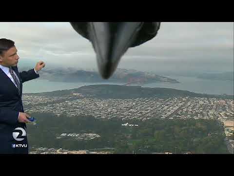 Youtube: Bird photobombs weather report | KTVU