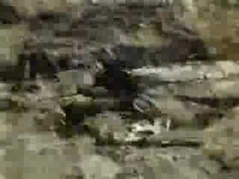 Youtube: Cold Cut - Natural Rhythm