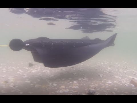 Youtube: Robot traversing sea, sand and snow