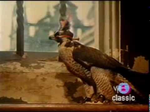 Youtube: Avalon - Bryan Ferry / Roxy Music