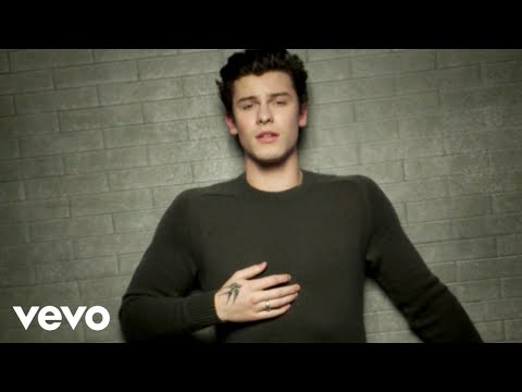 Youtube: Shawn Mendes - In My Blood