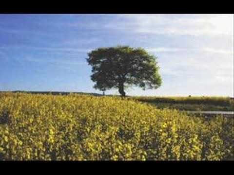 Youtube: Keine Heimat - Herbert Grönemeyer