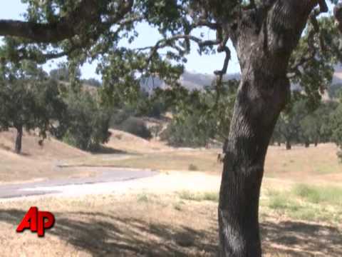 Youtube: Michael Jackson's Beloved Neverland